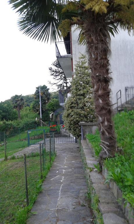 Vanni'S House 坎诺比奥 外观 照片